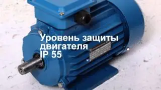 АИР 80 B6 исполнение 1081