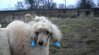 Марик...