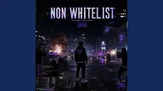 NON WHITELIST
