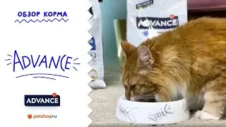 ОБЗОР КОРМА ДЛЯ КОШЕК И СОБАК ADVANCE 🇪🇸