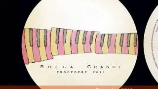 Bocca Grande - Procedere 2011