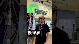 Bangtail: Meier Frontside Race Ski