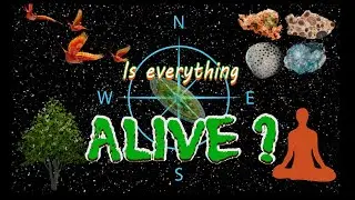 Abstraction of Life | Electrons have Life?