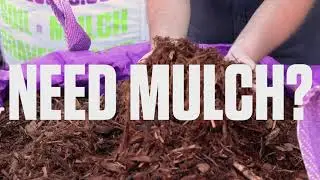 Get your landscape supplies such as Cedar Mulch - Black Mulch - Brown Mulch and more