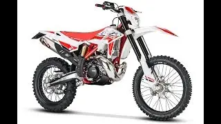 9 Fast Facts 2018 Beta 300 RR and 250 RR
