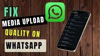 How to change media upload quality on WhatsApp (2025) Easy guide