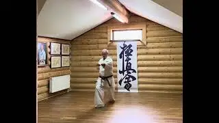 #karate #martialarts #kyokushin #iko #kww #yakunin #hanshi