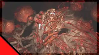 First Helminth Subsume | Warframe