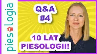 Q&A z okazji 10 lat Piesologii 🎂🎉🐶