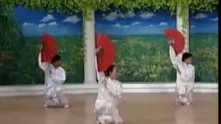 Веер кунгфу. 52 форма.flv