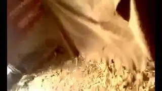 Баря баря