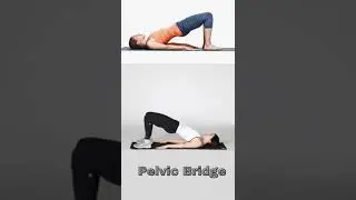 Pelvic Bridge