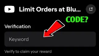 Limit Orders at Blum | Blum Video code | Blum Academy code | Blum Today video code