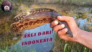 NEGERI KITA INI KAYA LHO