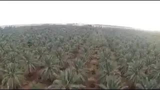 Generous & Richest Person of Saodi Arabia KSA Sulemaan Al Rajhi.