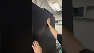 The 
