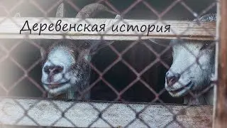 Деревенская история