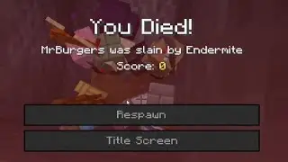 We Played the Minecraft Chaos Mod with Twitch Chat