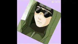 Shino