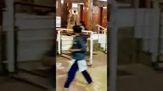 #shirdisaibaba 🌹#shirdidarshan 🥰#watchtillend 🙏#shorts #viral #trending 😊