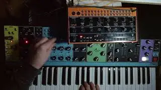 Moog Matriarch Synthesizer Behringer Crave Experiments