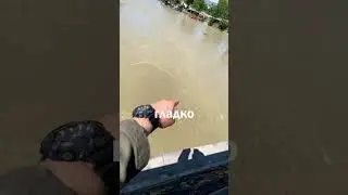 Самая СТРАННАЯ река в мире 😱