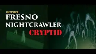 Two Legged Cryptid? #creepy #scary #stories