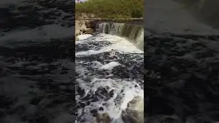 Июльские водопады в Саблино. 2024 г.