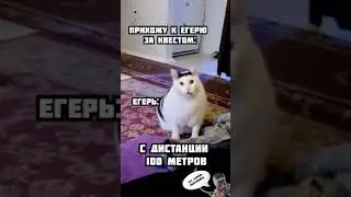 Квесты Егеря Bee like | 