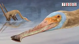 This New Pterosaur Might Be The Strangest One Ever Discovered