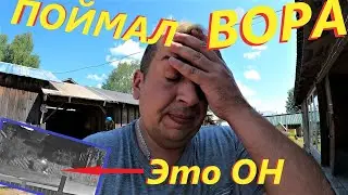 ПОЙМАЛ ВОРА В ДЕРЕВНЕ# ЖИЗНЬ НАЛАЖИВАЕТСЯ # СУШИМ РЫБУ В БАНЕ# ЖИЗНЬ ТОЛЬКО ДЕРЖИСЬ