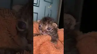 Энди растет