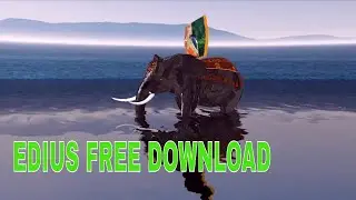 3D 10 VIDHI EFFECT 100% FREE DOWNLOAD DARG & DROP