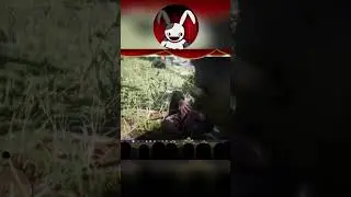 Making Friends With The Wildlife| Red Dead Redemption 2| #reddeadredemtion2