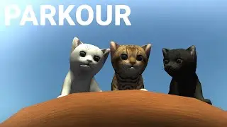 Parkour in Cat Simulator Animal Life