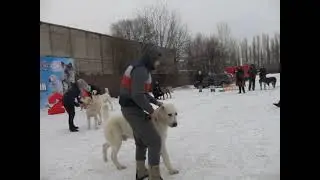 сравнение на ЛПП