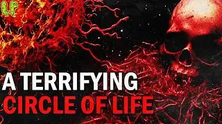 A Terrifying Circle of Life | Vita Carnis - New Beginnings