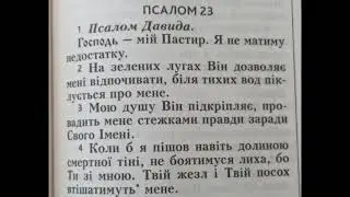 Господь  - мій Пастир  Теорія та практика.