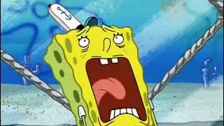 Tal_on Krusty Krab Massacre!
