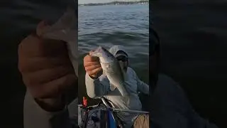 Towing another kayaker at 4.5 mph 🤯#shorts #kayakfishing #kayakmotor