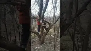 Прогулка с Нерой.