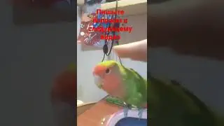 1 мая 2023 г.