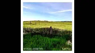 Sobria Ebrietas & Iliaque - Chemtrails [enrmp515]