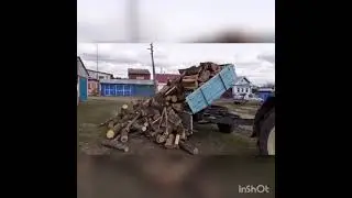 ЛТЗ-55 в лесу, возим халявные дрова.За день три рейса.