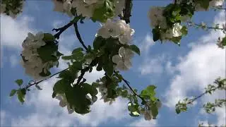 735. Весна.