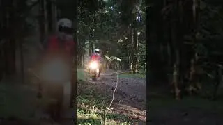 По полям, по лесам, синий кабик едет к нам. Видео в эстетике 