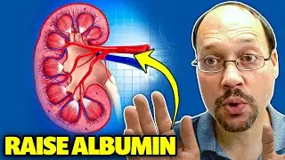 Kidney Function Test For protein Status? Learn How To Use It!