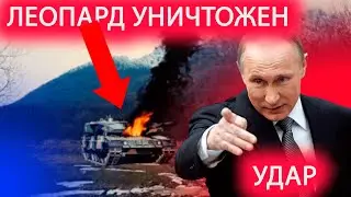 Вот так подбили этот леопард #news #new  #blog #Shorts