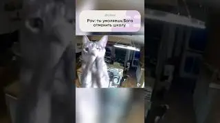 НИЧЕГО НЕ ПОМОЖЕТ💔 Залетай в мощное комьюнити 11кл, ссылка в шапке профиля #химия #егэ2025 #егэ
