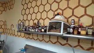 First peak at the finished walls in the honey house